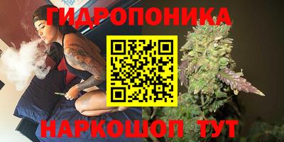 шишки Кулебаки