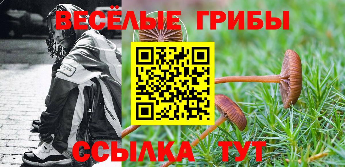 Галлюциногенные грибы Psilocybine cubensis Жуковский
