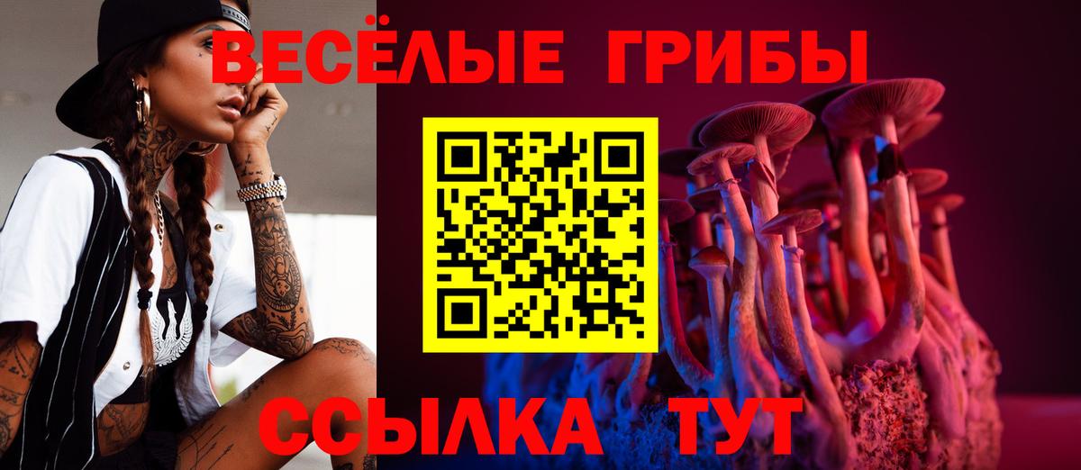 Жуковский  Галлюциногенные грибы Magic Shrooms  Вход с VPN 
